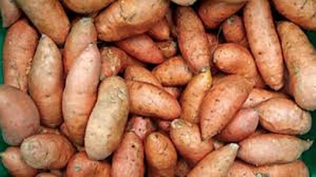 Potato traders should partner with farmers: RLEEP Potato traders should partner with farmers: RLEEP