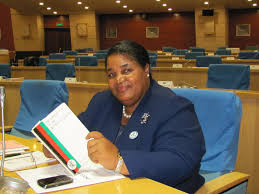 Report says Dowa has misused 2014/15 budget Report says Dowa has misused 2014/15 budget