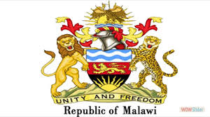 Teenager robs Malawi government