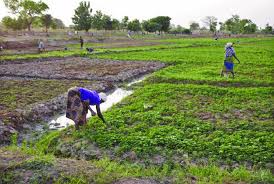 FYF hands over irrigation scheme to Balaka