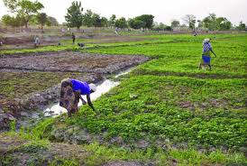 FYF hands over irrigation scheme to Balaka FYF hands over irrigation scheme to Balaka