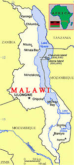 Malawi elected to UN human rights council Malawi elected to UN human rights council