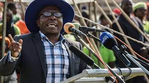 Zimbabwe court jails opposition politician over protest violence Zimbabwe court jails opposition politician over protest violence