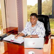 Government introduces Malawi Development Cooperation for mining company establishment Government introduces Malawi Development Cooperation for mining company establishment