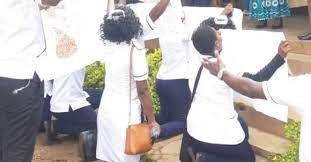 Nurses Petition Government on Employment