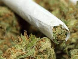 Police Officers Sell Canabis of Suspect-Report Police Officers Sell Canabis of Suspect-Report