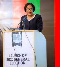 MEC receives Voters’ Register Missing Records Report MEC receives Voters’ Register Missing Records Report