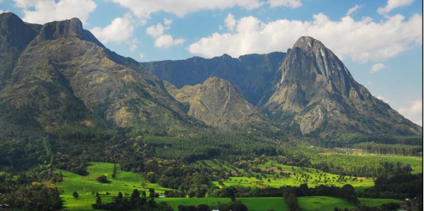 Mulanje Mountain Conservation Trust bemoans laxity in law enforcement Mulanje Mountain Conservation Trust bemoans laxity in law enforcement