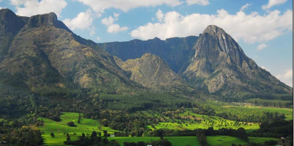 Mulanje Mountain Conservation Trust bemoans laxity in law enforcement