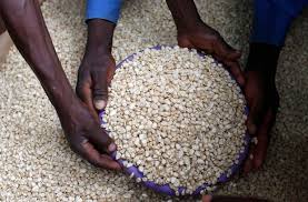 Malawians shun ADMARC