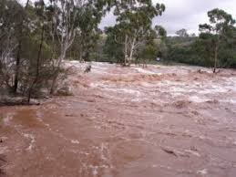 Normal total rainfall expected in Malawi Normal total rainfall expected in Malawi