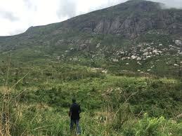 QMAM calls Radio Islam listeners, district council to restore Chiradzulu Mountain