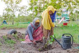 RAILA, MWO plant trees in Blantyre and Lilongwe