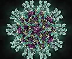 Malawi declares polio outbreak a public health emergency Malawi declares polio outbreak a public health emergency