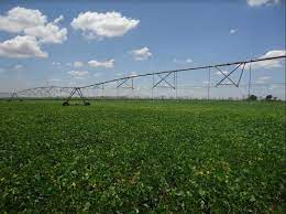 Kama Cooperative Mega Farm to Save Forex, Produce Fertilizer Kama Cooperative Mega Farm to Save Forex, Produce Fertilizer