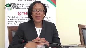 MEC won’t render services in political parties primary elections MEC won’t render services in political parties primary elections