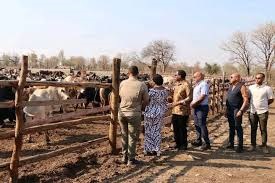 Chakwera orders ADMARC to deliver Maize in its Depots Chakwera orders ADMARC to deliver Maize in its Depots